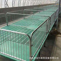 金码畜牧设备 高效猪用保育床与育肥栏在现代化养猪业的应用