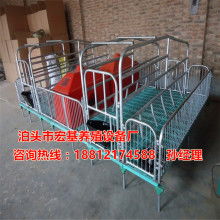 现代化养猪设备的发展与应用