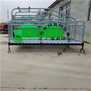 湖北十堰猪舍现代化升级 母猪双体产床分娩栏的采购与应用指南