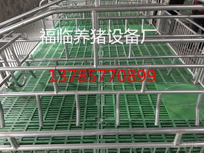 科学养猪的关键一环 现代化养猪设备的发展与应用