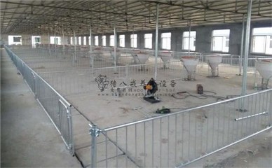山东市场青睐的猪场围栏与养猪设备指南