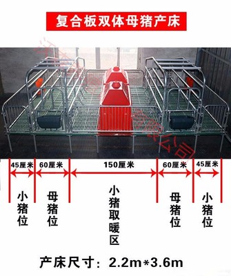 现代化养猪设备全解析 从母猪产床到保育床的高效应用